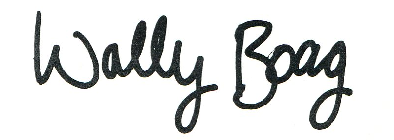 PLEASANT BUFFOONERY ~ Remembering Wally Boag