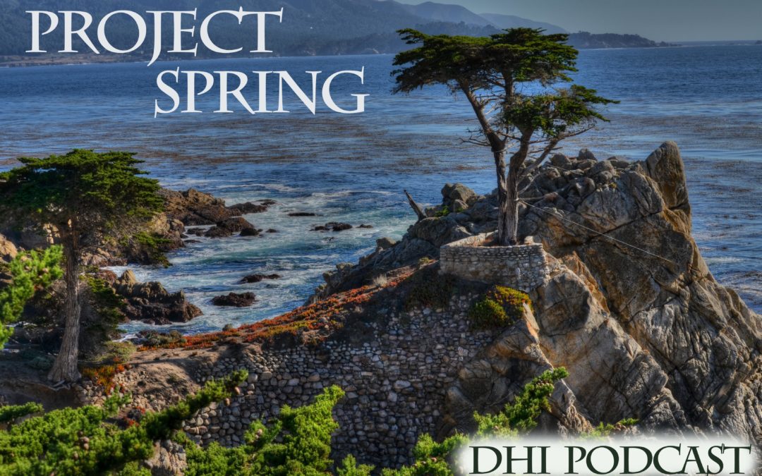 DHI 035 – Project Spring