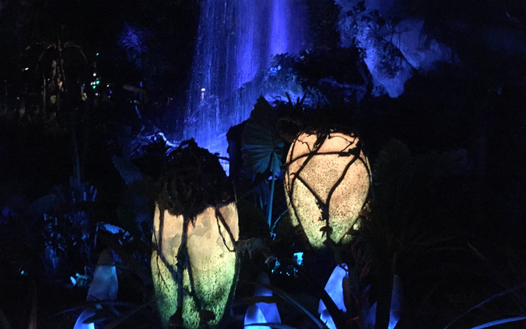 Pandora at Night