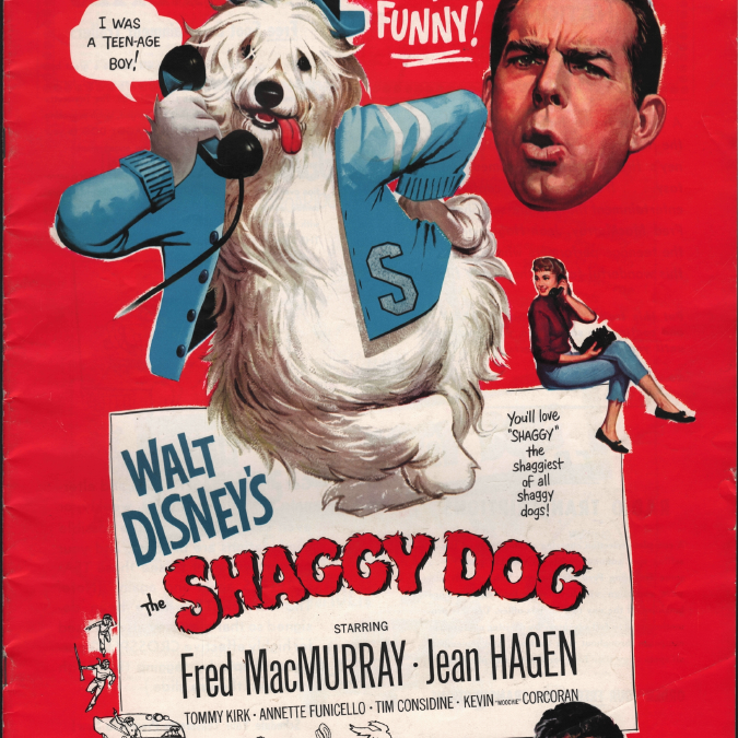 DHI’s November Movie- “The Shaggy Dog”: The Campaign Manuals Synopsis